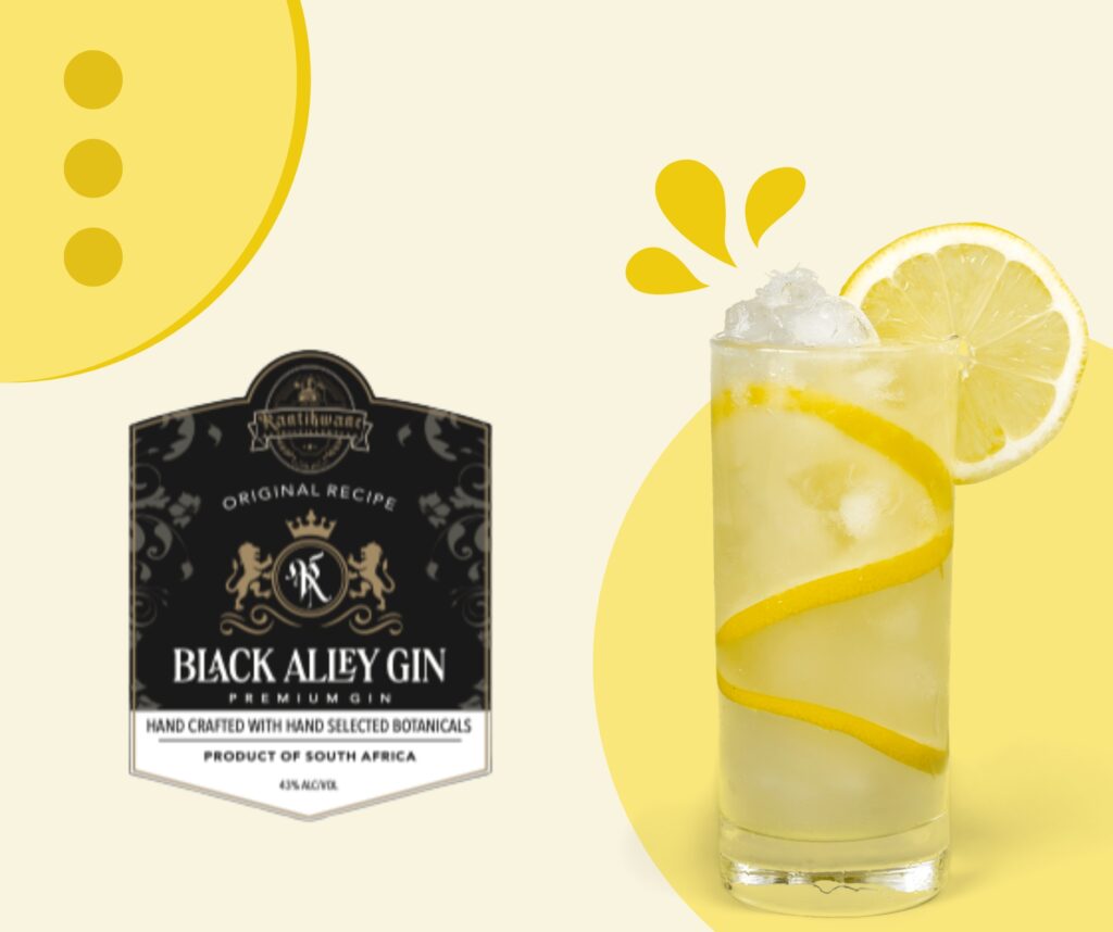 Black Alley Gin 100ml